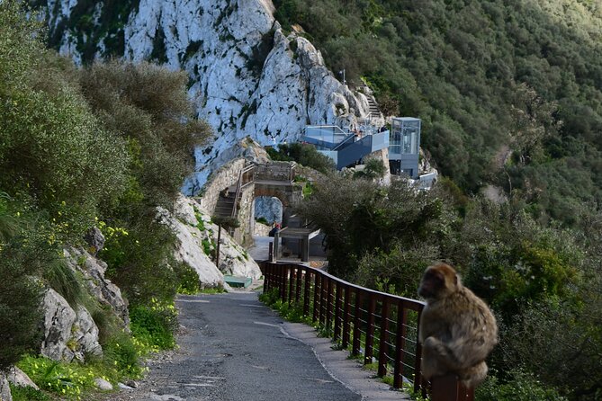 3.30Hrs Private Victory Diamond Rock Tour in Gibraltar - Catalan Bay and the Gibraltar Airport runway drive-through