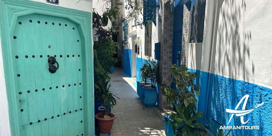 Day trip from Gibraltar to Morocco All Inclusive - Old Tangier Highlights: Marshan Palace, Café Hafa, Medina, and the Kasbah