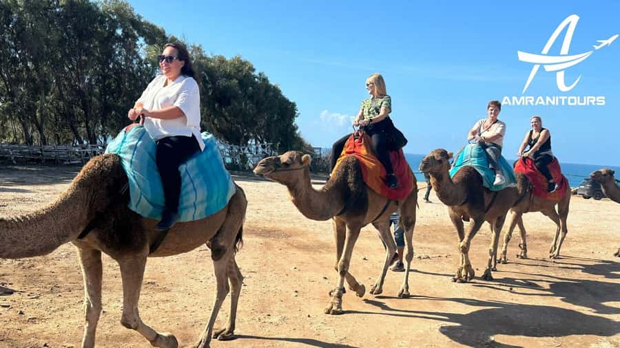 Day trip from Gibraltar to Morocco All Inclusive - Lunch and Free Time: Moroccan Food, Market Stops, and a Chance to Breathe
