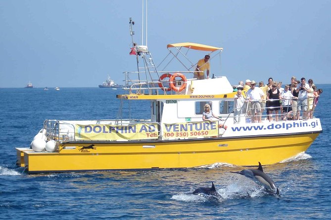 Dolphin Watching Excursion in Gibraltar - Stop 1: The Rock of Gibraltar views before you go hunting