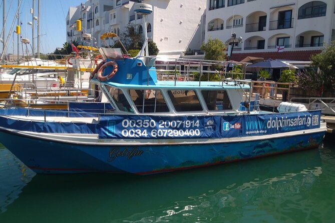 Dolphin Watching in Gibraltar with Dolphin Safari - Key things I’d pay attention to