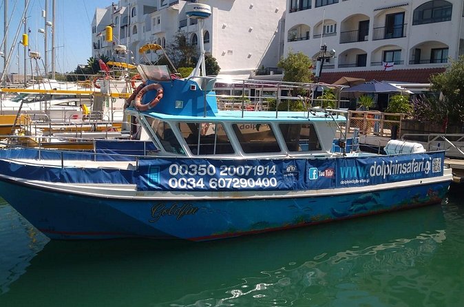 Dolphin Watching in Gibraltar with Dolphin Safari - FAQ
