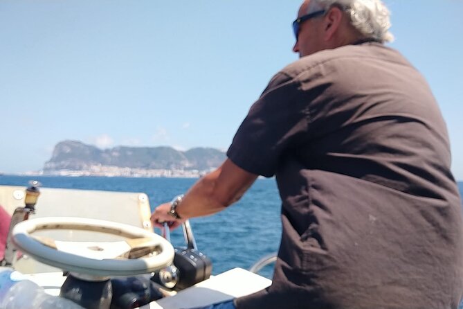Dolphin Watching in Gibraltar with Dolphin Safari - The 1-Hour Dolphin Watching Flow, What Happens Once You Leave the Dock
