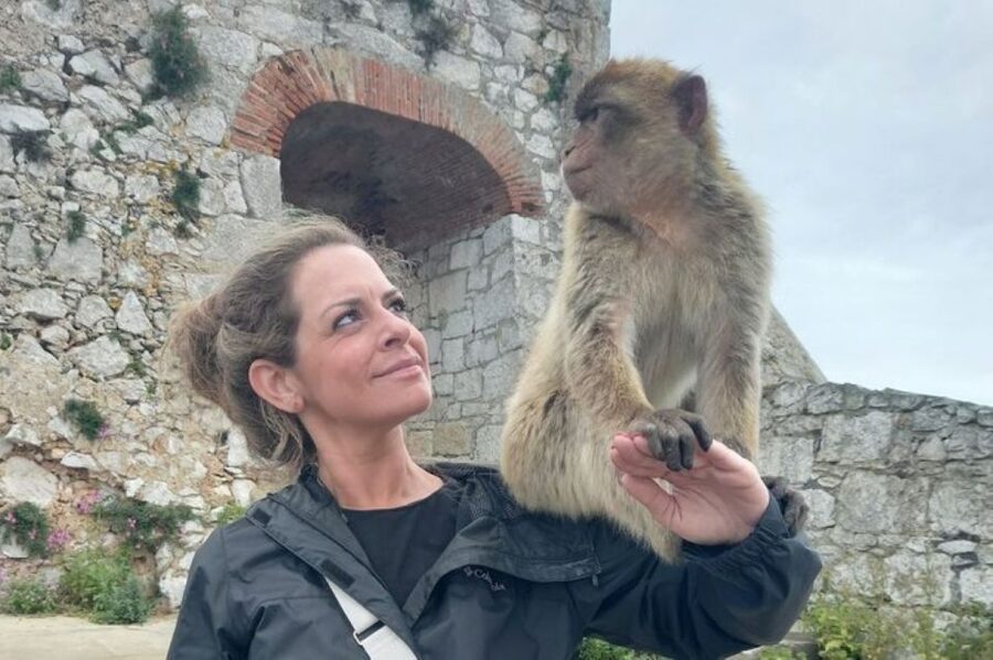 Explore Gibraltar with a Private Guide from Malaga. - Apes Views and Barbary Macaques: where your photos will happen