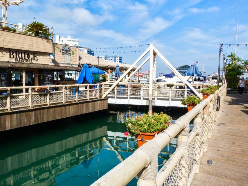 From Malaga: Day trip to Gibraltar and Dolphin Boat Tour - The port-to-boat moment, what to expect before you leave the dock