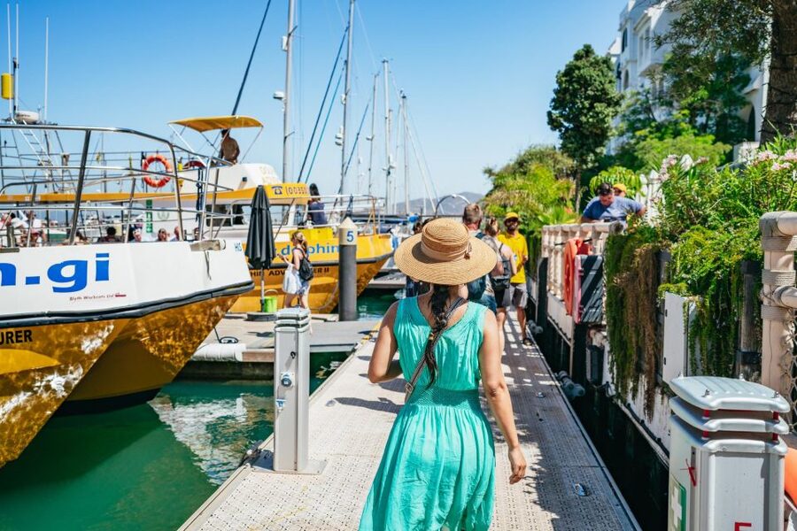 From Malaga: Day trip to Gibraltar and Dolphin Boat Tour - How the onboard guide makes the sightings click