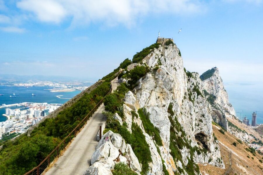 From Malaga: Day trip to Gibraltar and Dolphin Boat Tour - Lunch, fish and chips, and using your free time wisely