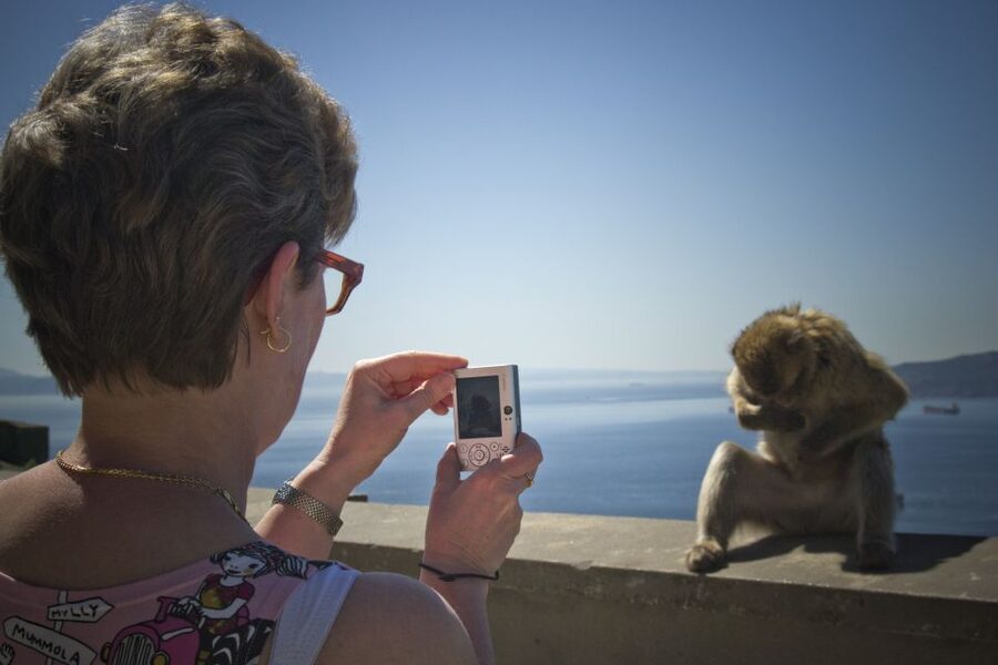 From Seville: Day Trip to Gibraltar - Crossing into Gibraltar: queues, foot travel, and the one document you cannot forget
