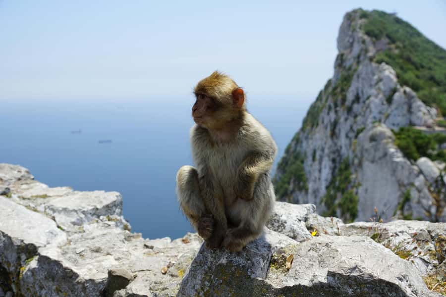 From Seville: Gibraltar and Tangier 2-Day Trip with Hotel - Tangier guided walk: corniche views and the old Medina