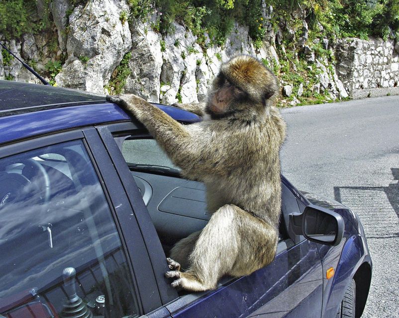 From Seville: Private Tour of Gibraltar - Learning Gibraltar from the guide team, Luis and Mustafa