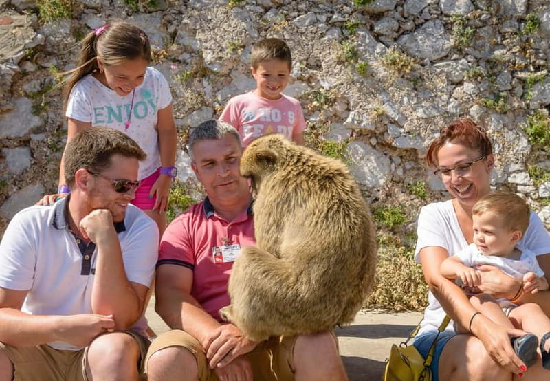 Gibraltar: 2.30hrs Tour Skywalk, Tunnels, and More - The Barbary macaque feeding station: wildlife, but with rules