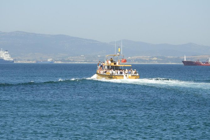 Gibraltar Dolphin Adventure - Timing, weather, and why your day still has a plan