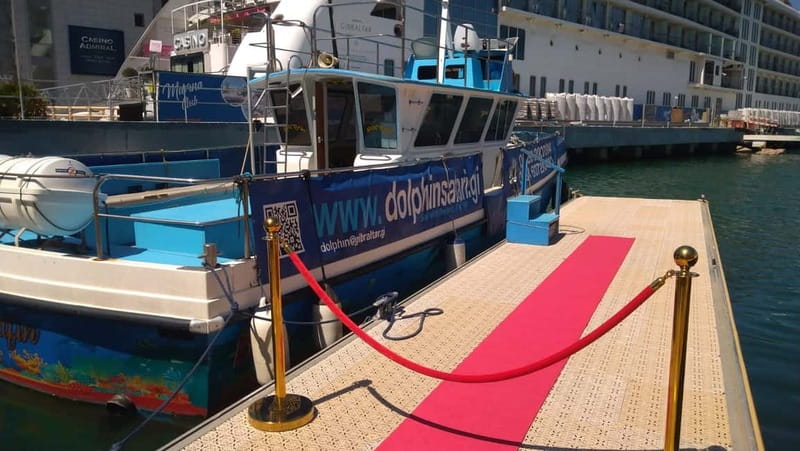 Gibraltar: Dolphin Watching Boat Tour - Setting Sail From Marina Bay, Right in Gibraltar City