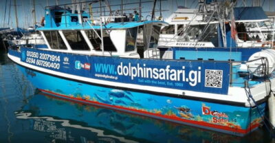 Dolphin Watching Boat Tour