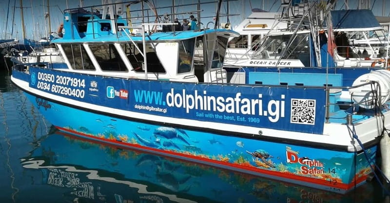 Gibraltar: Dolphin Watching Boat Tour - The Boat Experience: Why the Hull and the Group Size Matter