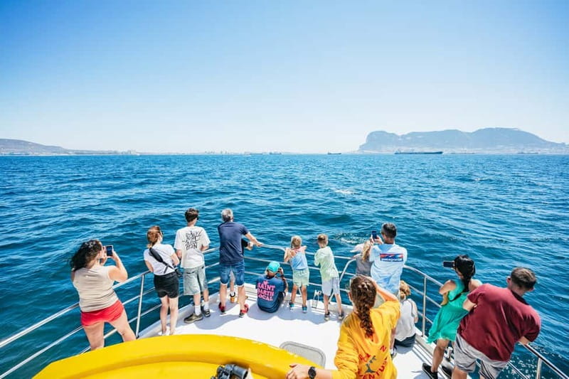 Gibraltar: Dolphin Watching Tour - What You See Beyond Dolphins: Morocco, Spain, and Pillars of Hercules