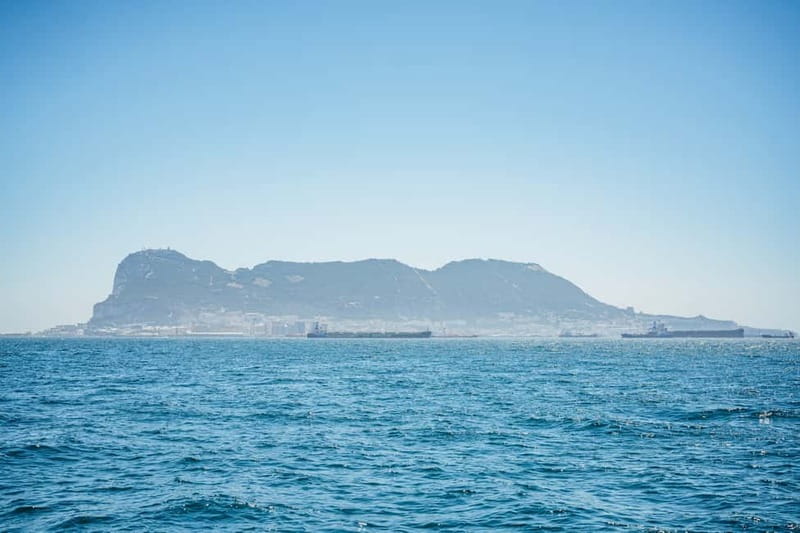 Gibraltar: Dolphin Watching Tour - Price and Value: Is $37 Worth It?