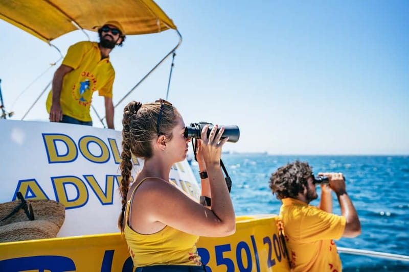 Gibraltar: Dolphin Watching Tour - Should You Book This Dolphin Watching Tour?