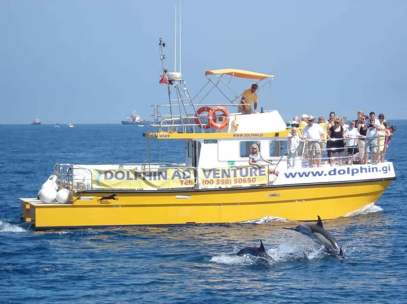 Gibraltar: Dolphin Watching Tour - The Dolphin Adventurer Cruise: How Your 75 Minutes Play Out