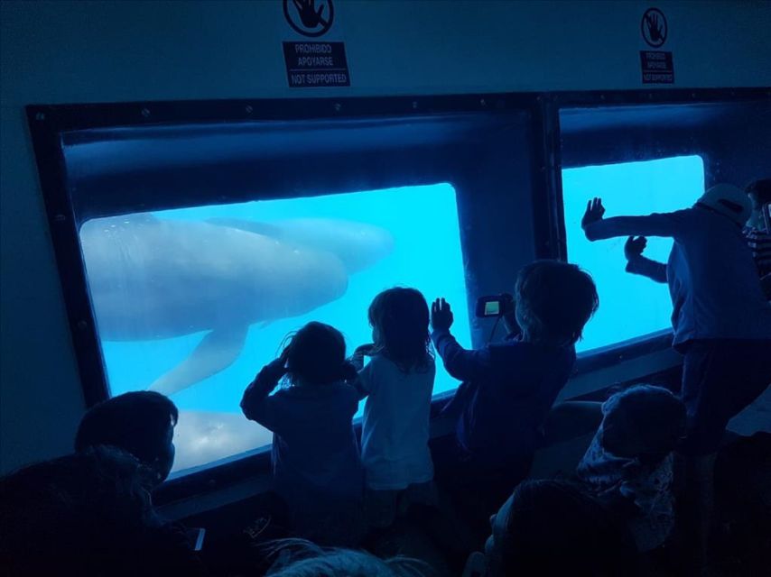 Gibraltar Dolphins Watching Day Trip from Seville - What to pack for a 1.5 to 2 hour time on the water
