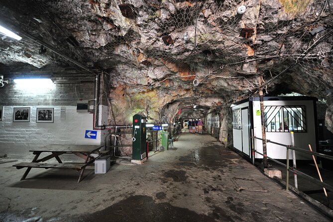 Gibraltar Great Siege & WWII Tunnels Tour 3 Hours - Barbary Macaque Feeding Station at Upper Apes Den