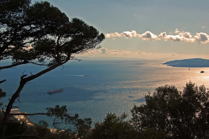 Gibraltar: Guided Tour by Bus Including Tickets - Key Highlights That Make This Tour Worth Considering