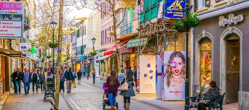 Gibraltar: Guided Tour by Bus Including Tickets - A Fast, Ticket-Handled Overview of Gibraltar’s Best Stops