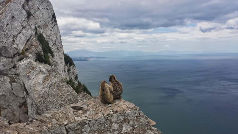Gibraltar: Guided Tour by Bus Including Tickets - The Rock of Gibraltar by Bus: Viewpoints Without the Long Climb