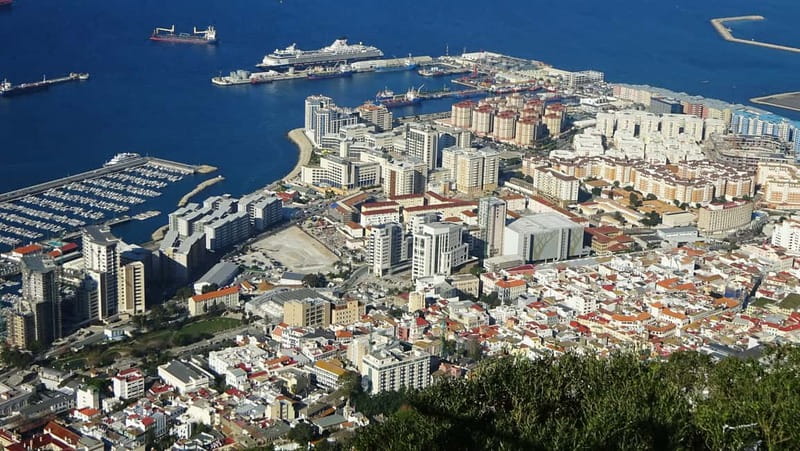 Gibraltar: Guided Tour by Bus Including Tickets - Barbary Macaques at the Nature Park: The Real Crowd Magnet