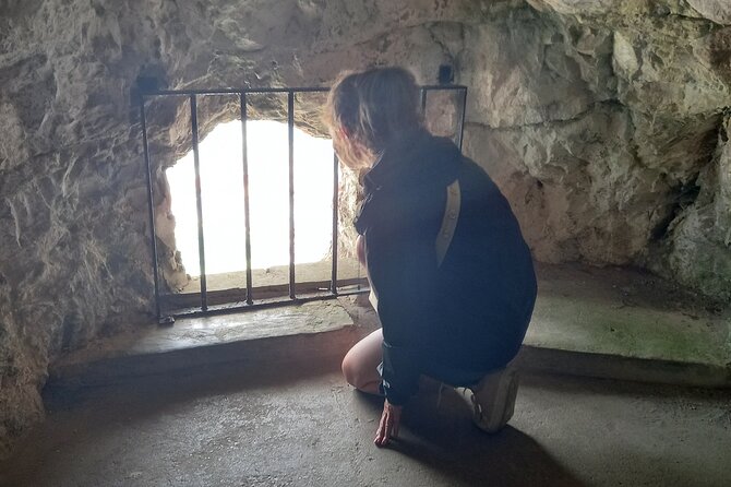 Gibraltar, Mijas and Marbella Private Tour From Malaga Province - Stop 4: Apes Den, the dedicated monkey moment