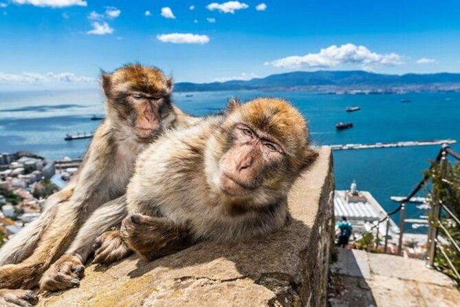 Gibraltar Pass- The Official City Pass for all attractions! - Moorish Castle Complex: the oldest structure for long views