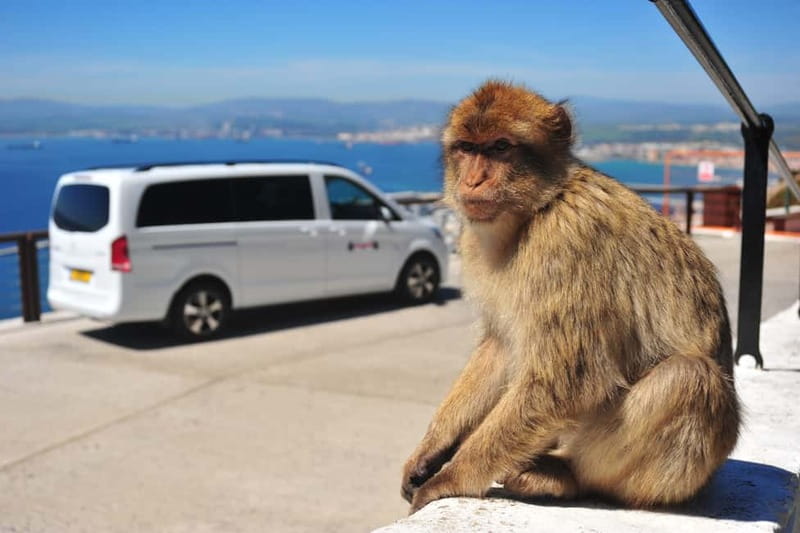 Gibraltar: Private Highlight Tour with Entry Tickets - St Michael’s Cave: quick access to a long geological story