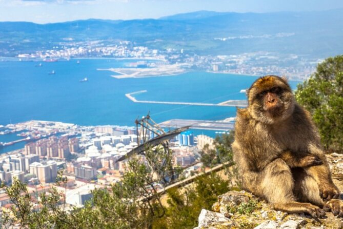 Gibraltar Private Tour - Key highlights to know before you go