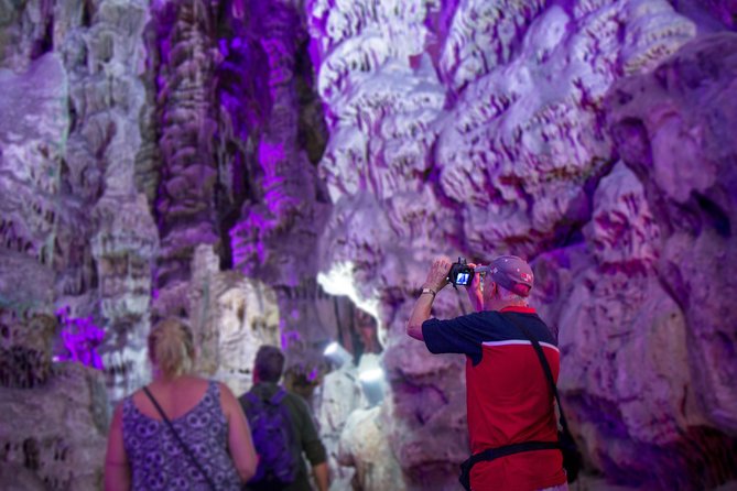 Gibraltar Rock Guided Tour - Apes’ Den: the wild monkeys moment, up close and surprisingly casual