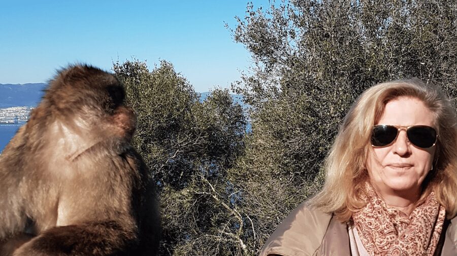 Gibraltar shopping: Desde Málaga y la Costa del Sol - Best for which travelers, and who should skip it