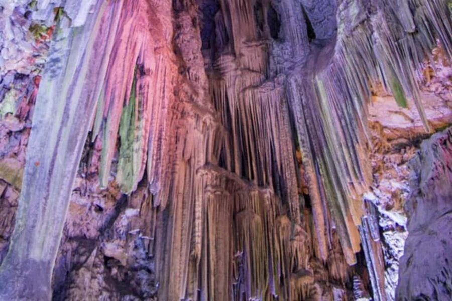 Gibraltar Shore Excursion: The Original Rock & Caves Tour - Upper Rock Nature Reserve and the Barbary macaques in the wild
