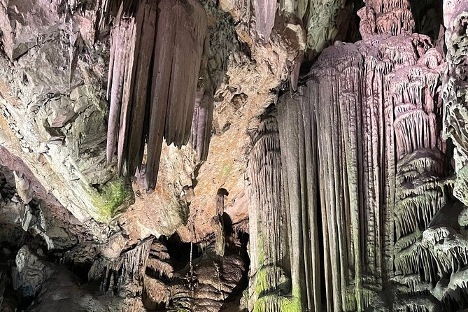 Gibraltar Sightseeing : Classic Rock Tour plus World War 2 Tunnels (Private) - Barbary macaque feeding station: fun, but also managed and respectful