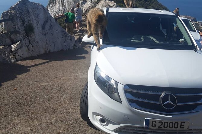 Gibraltar Sightseeing : Classic Shore Excursion (Private) - Skywalk Glass Lookout, Short Walk, Big Nerves