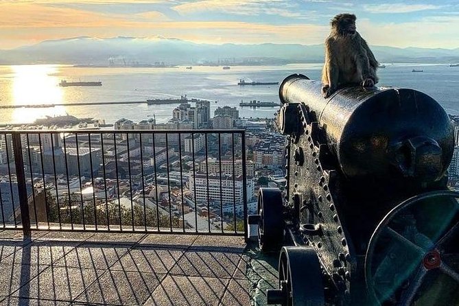 Gibraltar Sightseeing : Extended Rock Tour / Shore Excursion (Private) - Private port pickup and a tight 2.5-hour route