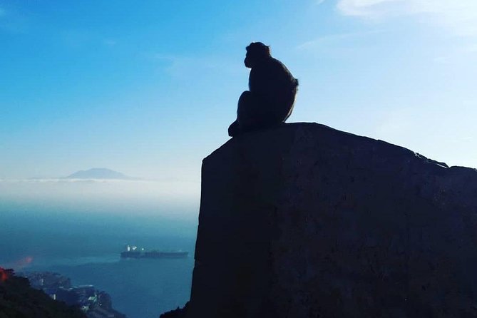 Gibraltar Sightseeing : Extended Rock Tour / Shore Excursion (Private) - The extended Rock checklist: each stop and what to expect