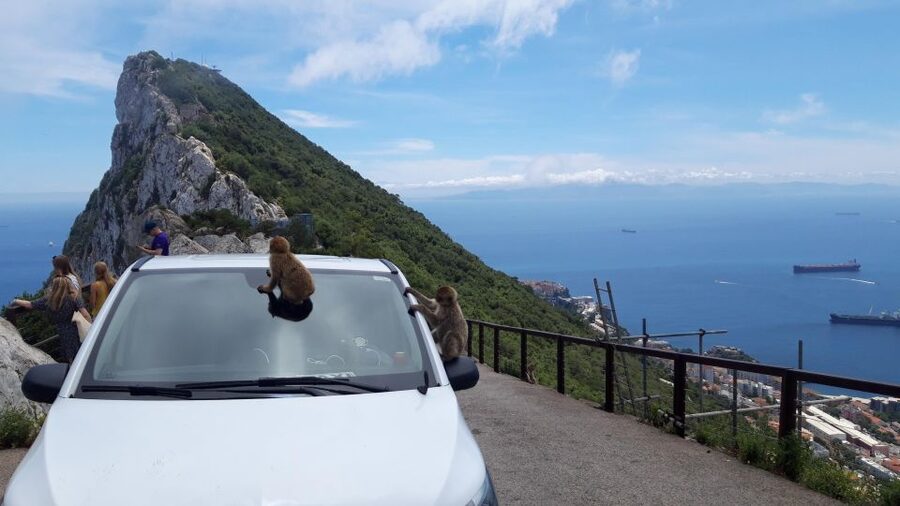 Gibraltar Sightseeing: Private Classic Tour with a Local - Key things to know before you go