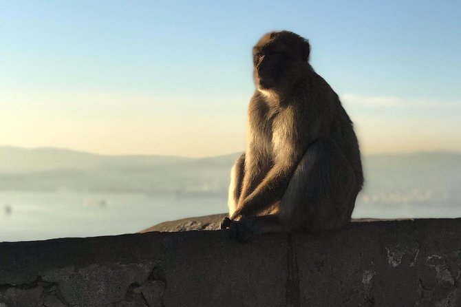 Gibraltar Sightseeing Private Full Day Shore Excursion - The Skywalk glass platform: views first, bravery optional