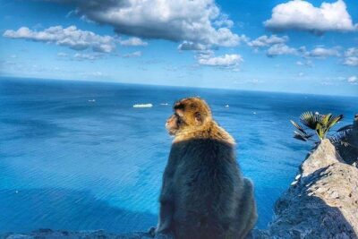Gibraltar Sightseeing Private Full Day Shore Excursion