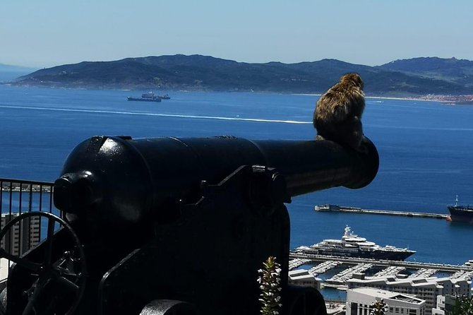 Gibraltar Sightseeing Private Full Day Shore Excursion - World War II Tunnels: the longest tunnel stop for a reason