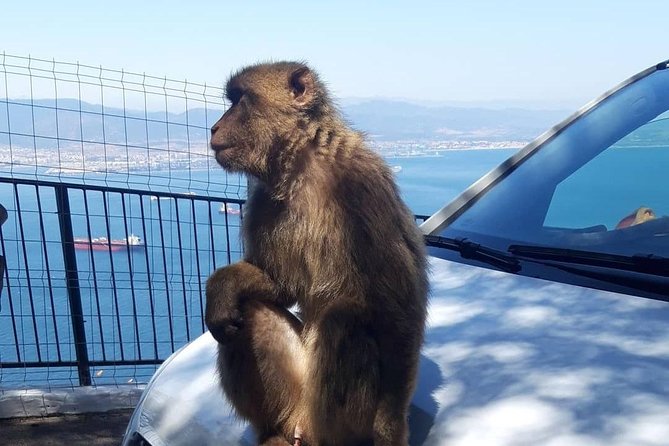 Gibraltar Sightseeing :SKYWALK AND SUSPENSION BRIDGE TOUR (Private) - Skywalk glass platform: the 5-minute moment you will talk about later