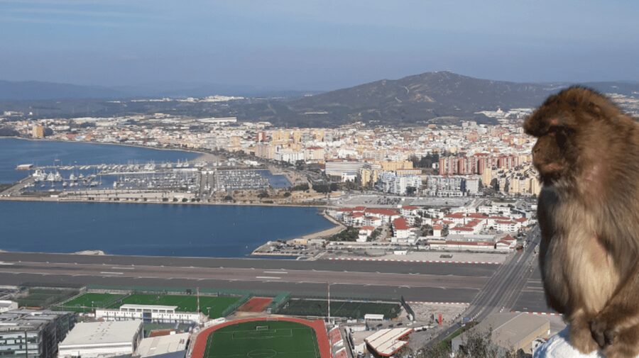 Gibraltar: Tour guiado desde la Costa Del Sol - Gibraltar from the Costa del Sol, why this day trip works
