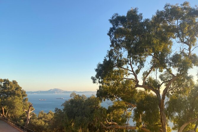Go Tours Private Rock Experience Tour in Gibraltar - Pickup offered, but protect your schedule with simple checks