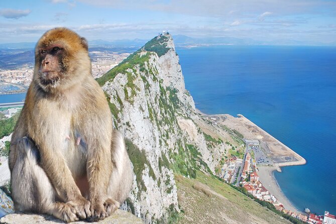 Rock Tour in Gibraltar by Bus with Tickets - Price and Ticket Value: Is $65.02 a Good Deal?