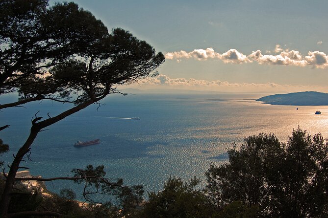 Rock Tour in Gibraltar by Bus with Tickets - Meeting Point at Midtown Car Parking: How to Avoid a Day-ruiner