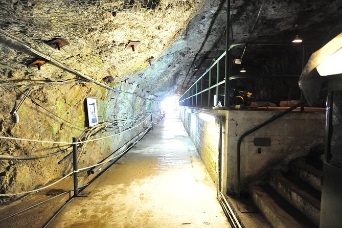 SHORE EXCURSION 3hrs Tunnel Tour - Pillars of Hercules and how myths explain the Rock’s fame